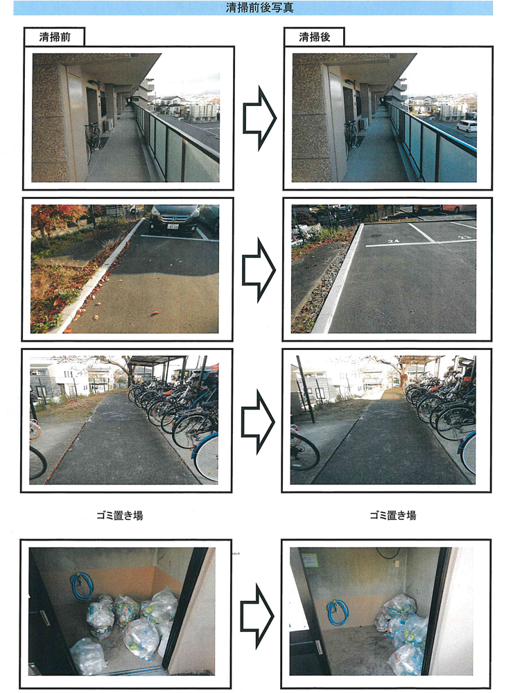 定期清掃レポート-20241209