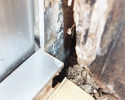 家屋の老朽化を早める空家のリスク