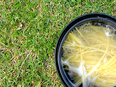 除草剤代用-ゆで汁をまく