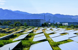 太陽光除草-近隣住民からのクレーム